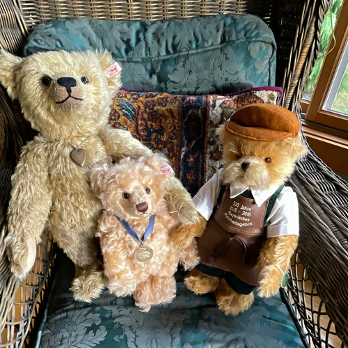 Teddy bear lot - lot, for